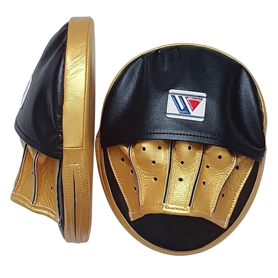 Focus Mitts