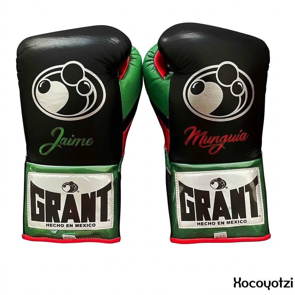 Grant black lace-up gloves, headgear and groin guard with green and red tricolor trim - side view